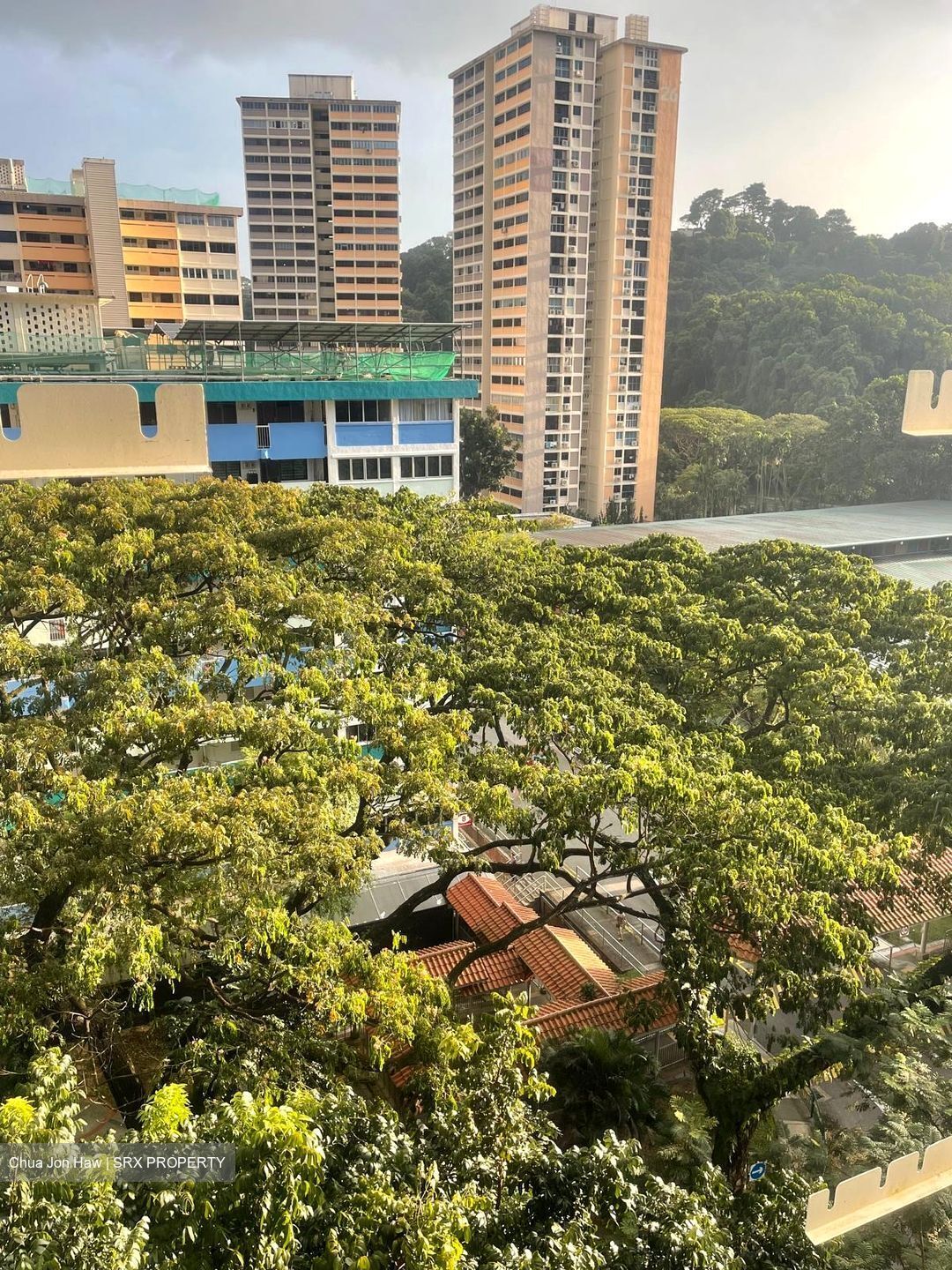 Telok Blangah Crescent (Bukit Merah),  #581320411
